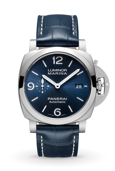 pam01313