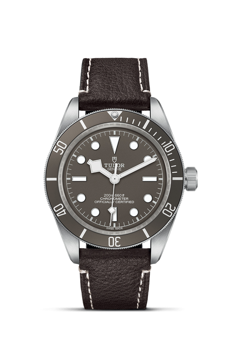 M79010SG-0001-tudor-black-bay-925-silver