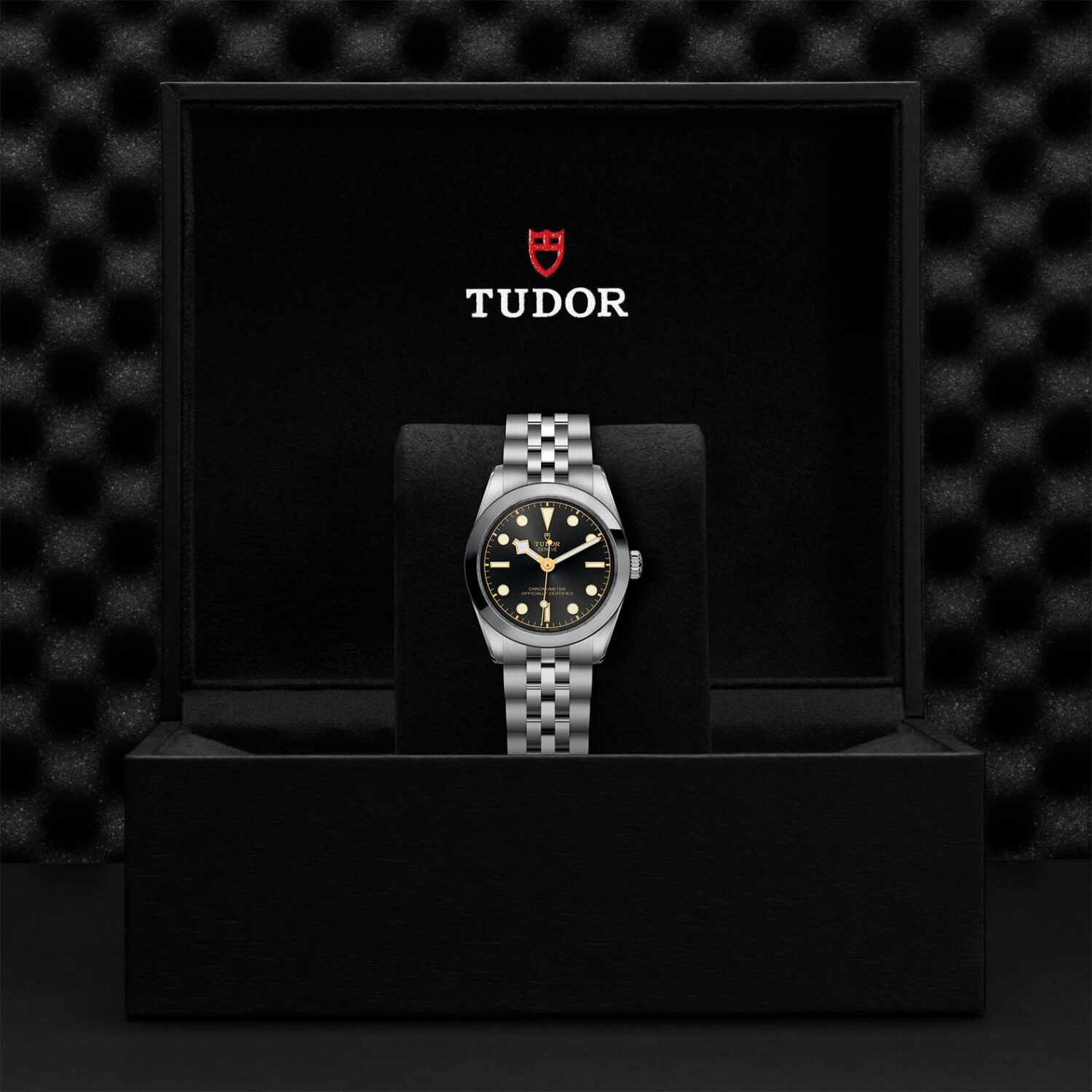 TUDOR Black Bay 31 M79600-0001 Shop Tudor Watches at Watches of Switzerland - Canberra, Sydney, Melbourne & Perth