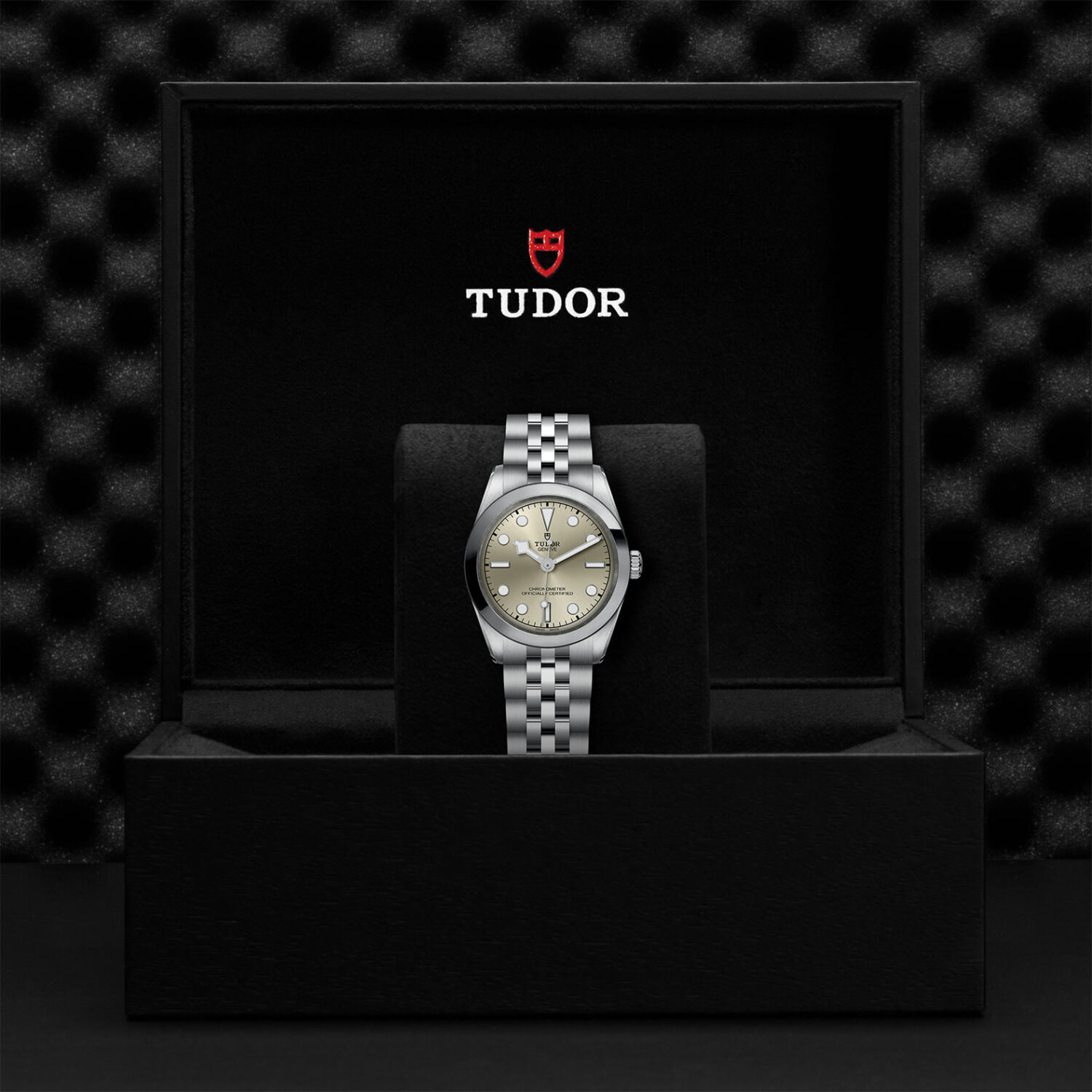 TUDOR Black Bay 31 M79600-0003 Shop Tudor Watches at Watches of Switzerland - Canberra, Sydney, Melbourne & Perth