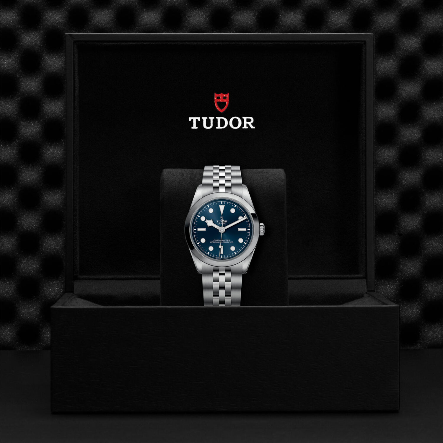 TUDOR Black Bay 36 M79640-0002 Shop Tudor Watches at Watches of Switzerland - Canberra, Sydney, Melbourne & Perth