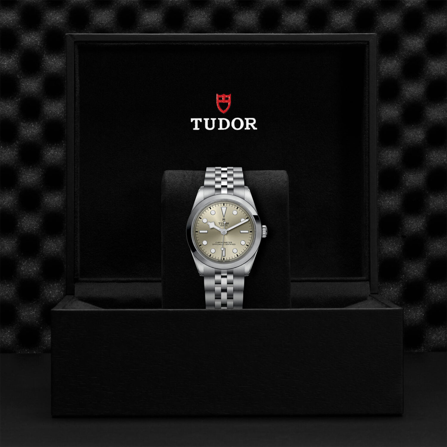 TUDOR Black Bay 36 M79640-0003 Shop Tudor Watches at Watches of Switzerland - Canberra, Sydney, Melbourne & Perth