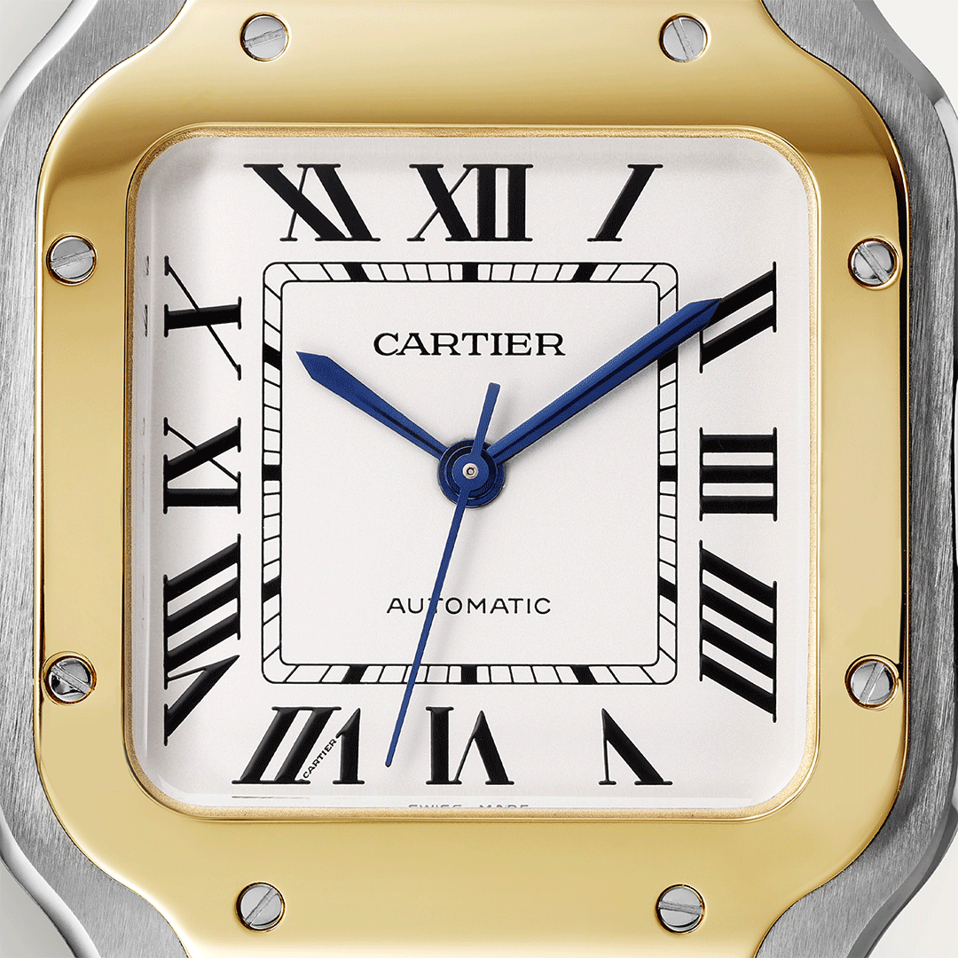 Santos De Cartier Watch W2SA0016