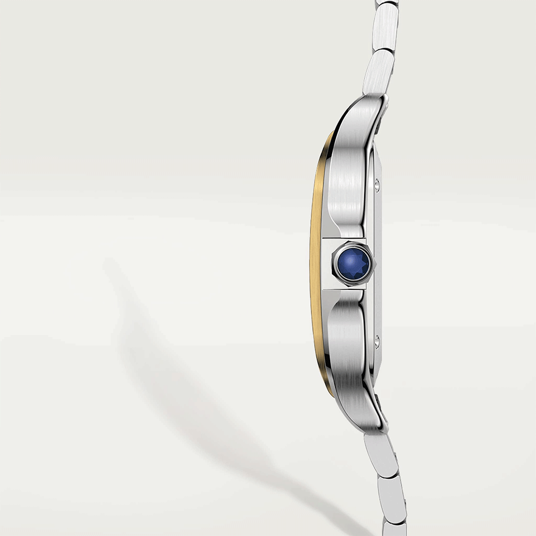 Santos De Cartier Watch W2SA0016