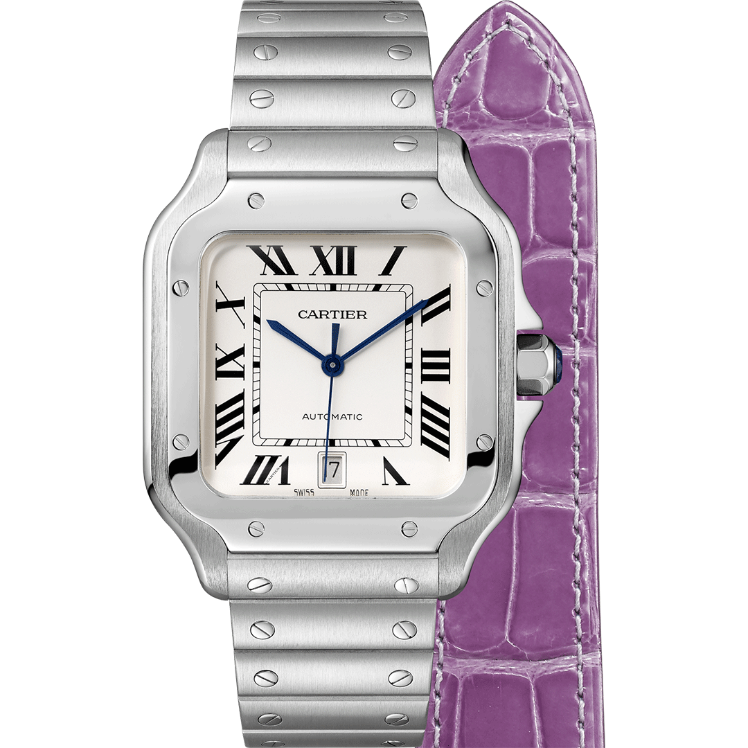 Santos De Cartier Watch WSSA0018