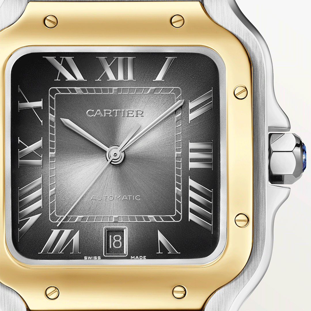 Santos De Cartier W2SA0030