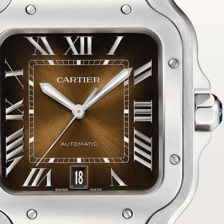 Santos De Cartier WSSA0064