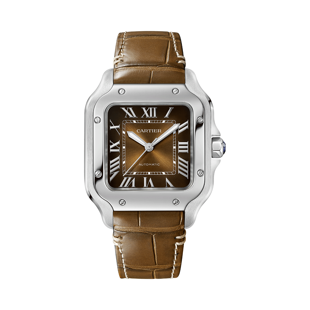 Santos De Cartier WSSA0065