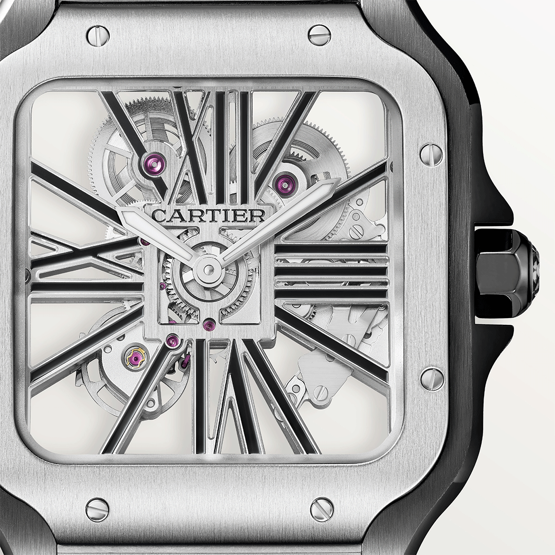 Santos De Cartier Skeleton WHSA0027