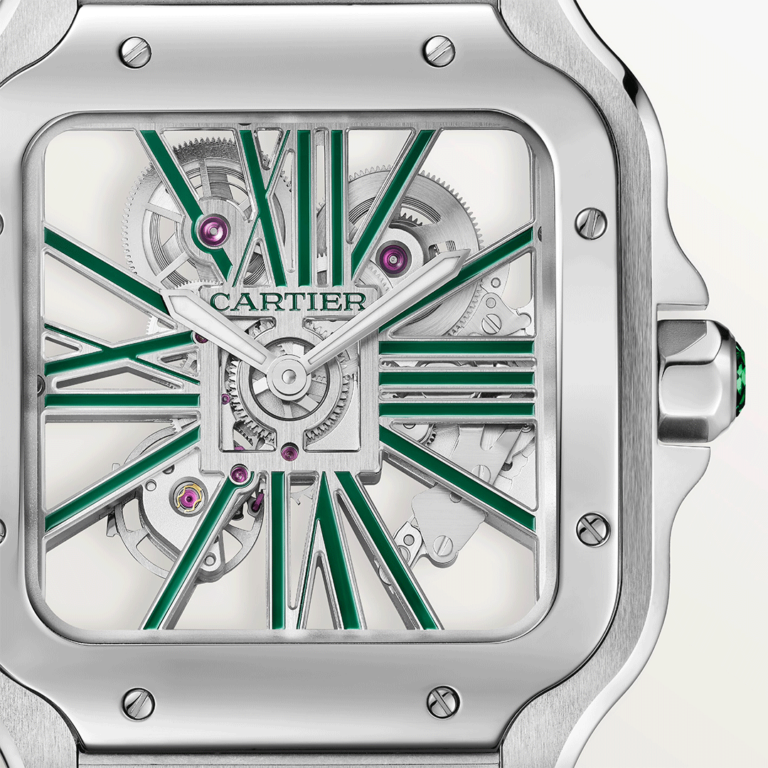 Santos De Cartier Skeleton WHSA0028