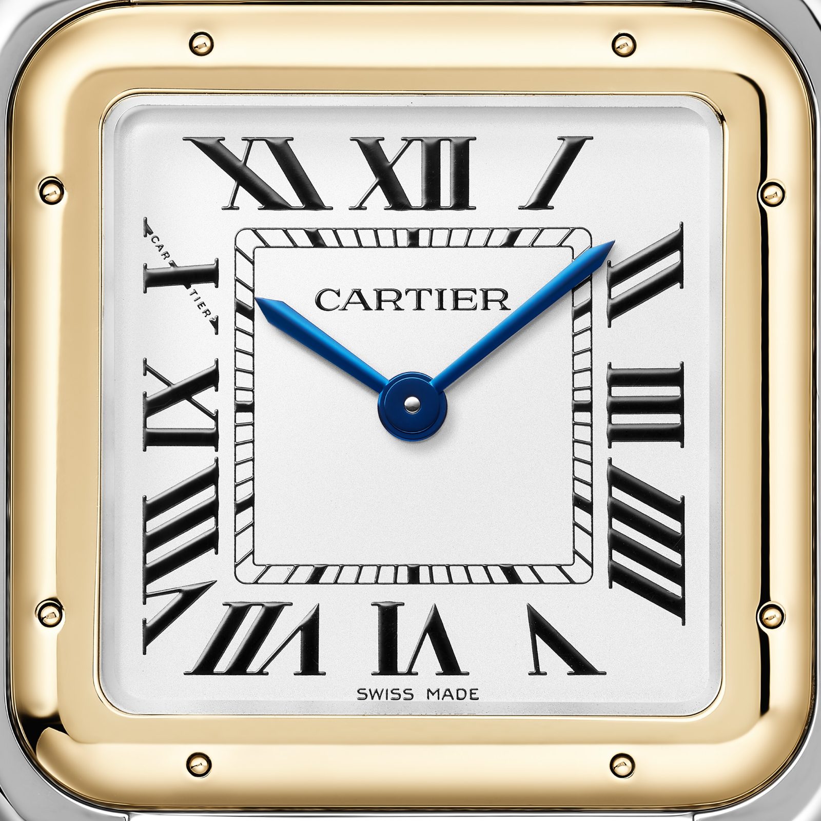 Panthère De Cartier Watch W2PN0012