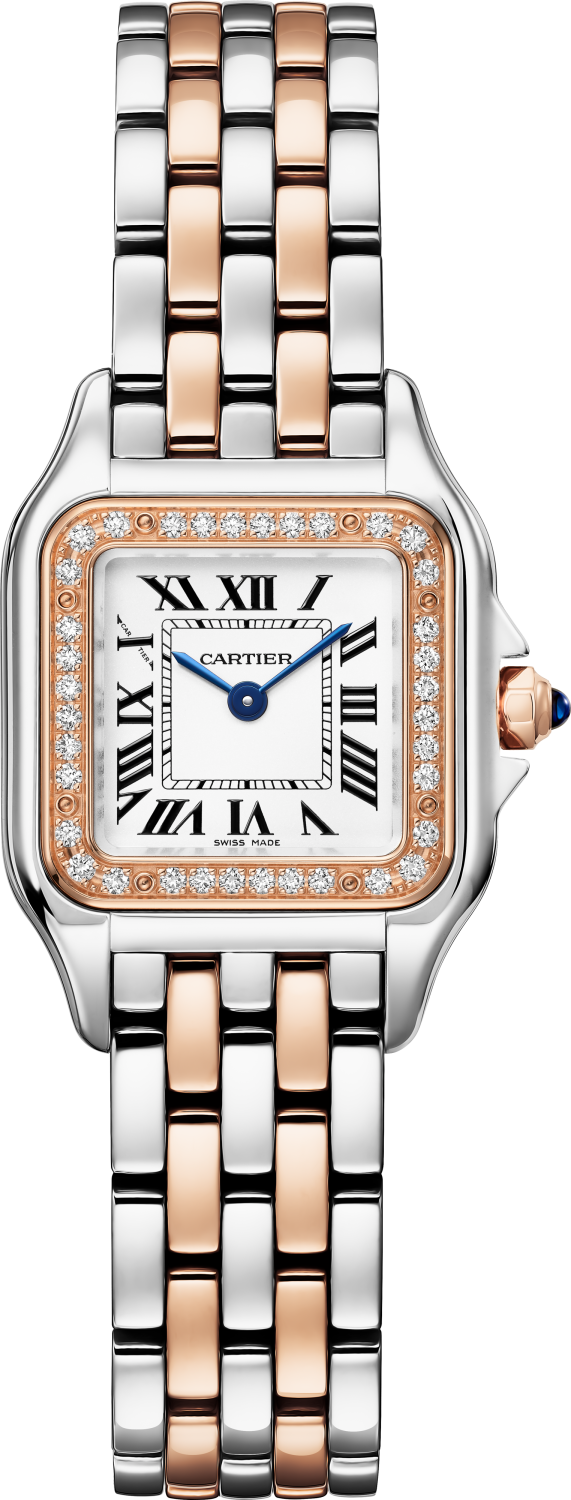 Panthère De Cartier Watch Small W3PN0006