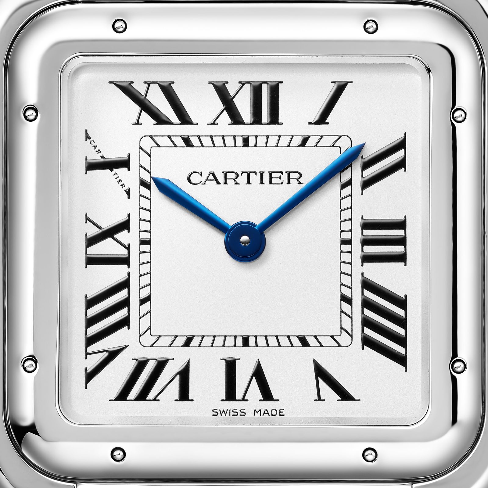 Panthère De Cartier Watch WSPN0011