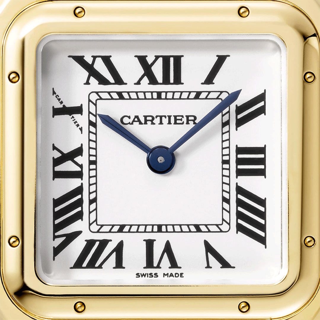 Panthère De Cartier Watch Small WGPN0038